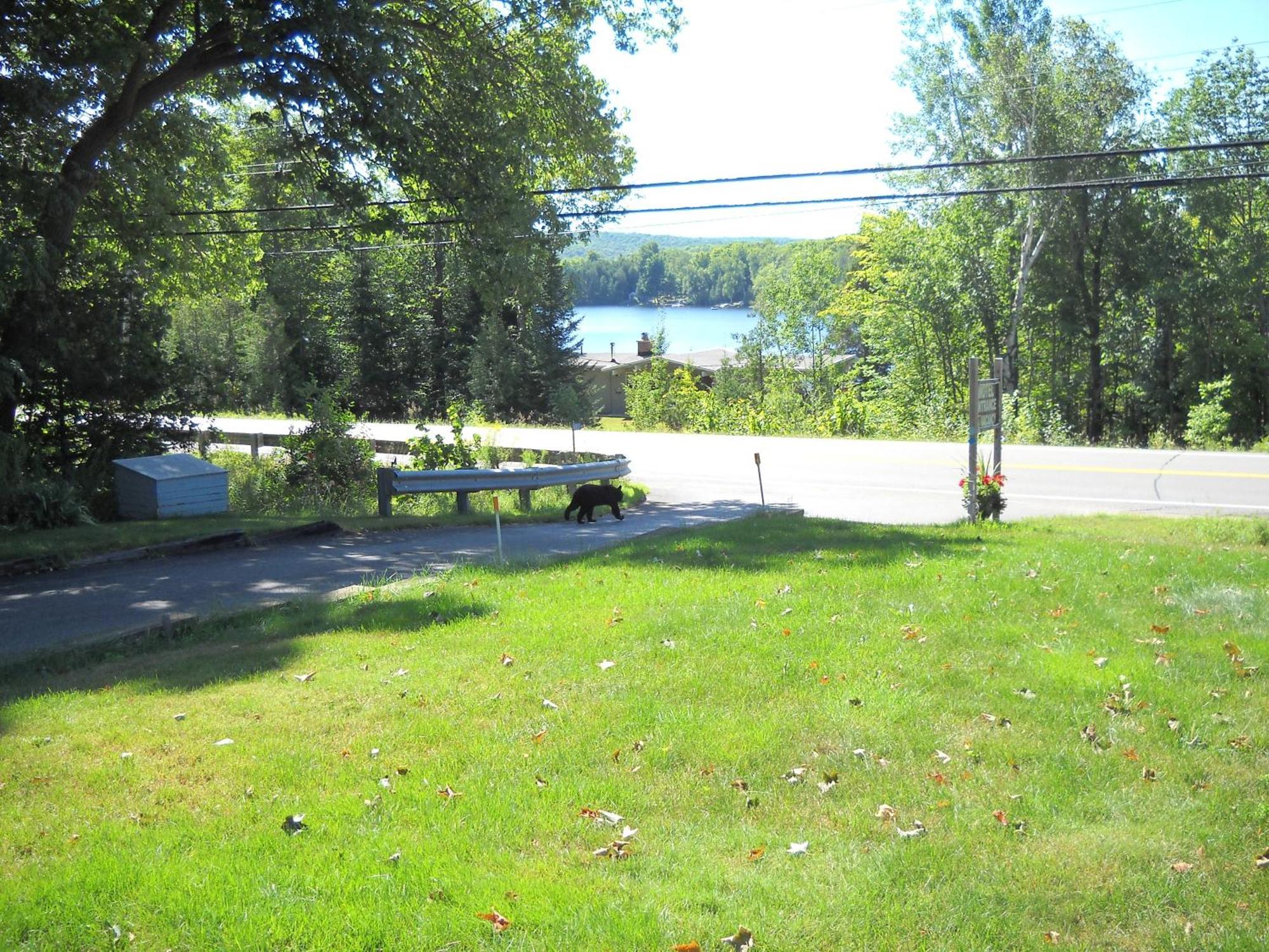 Lakeview Motel Haliburton Exterior foto