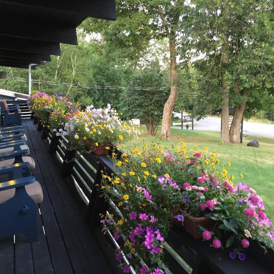 Lakeview Motel Haliburton Exterior foto